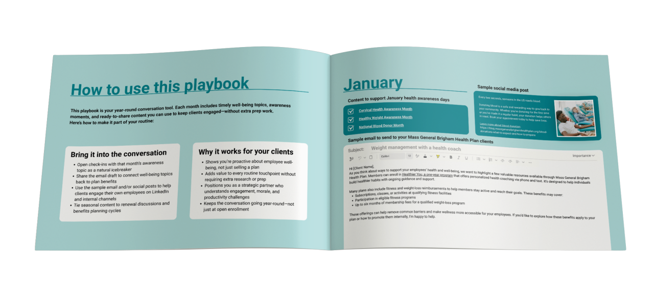 A preview of the client engagement playbook showing the page "How to use this playbook"