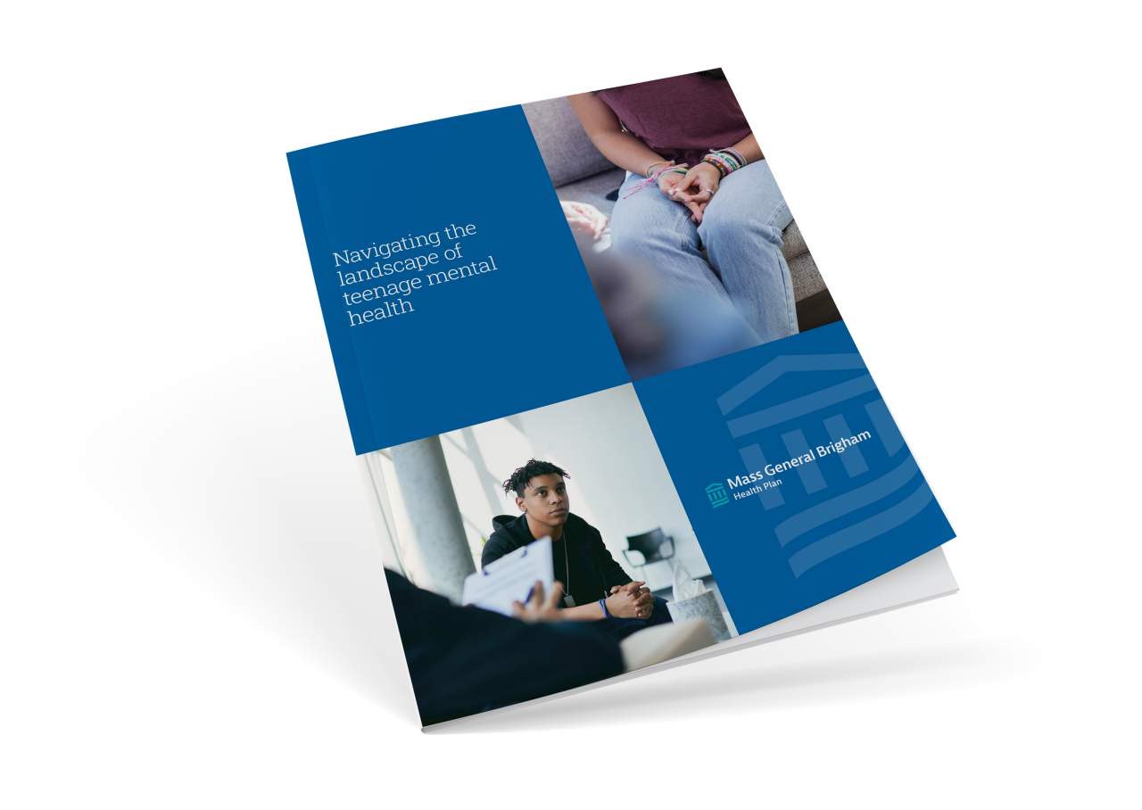 Navigating the landscape of teenage mental health eBook cover image